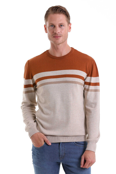 Bej Comfort Fit Desenli Pamuklu Bisiklet Yaka Casual Triko Kazak - 1