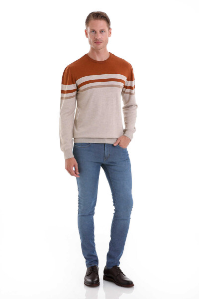 Bej Comfort Fit Desenli Pamuklu Bisiklet Yaka Casual Triko Kazak - 2