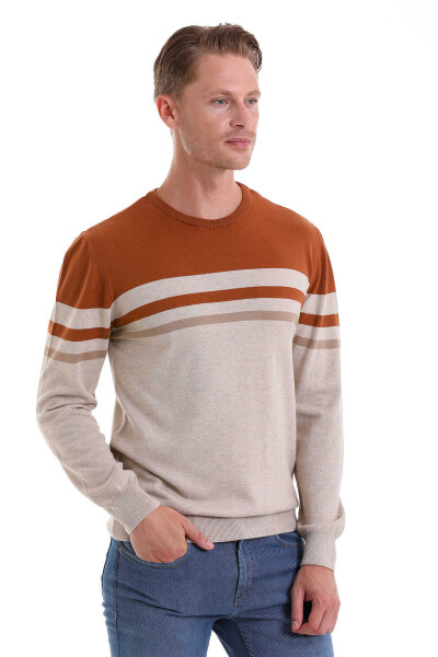 Bej Comfort Fit Desenli Pamuklu Bisiklet Yaka Casual Triko Kazak - 3