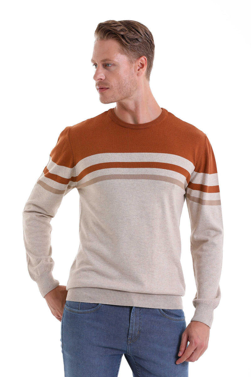 Bej Comfort Fit Desenli Pamuklu Bisiklet Yaka Casual Triko Kazak - Hatem Saykı (1)