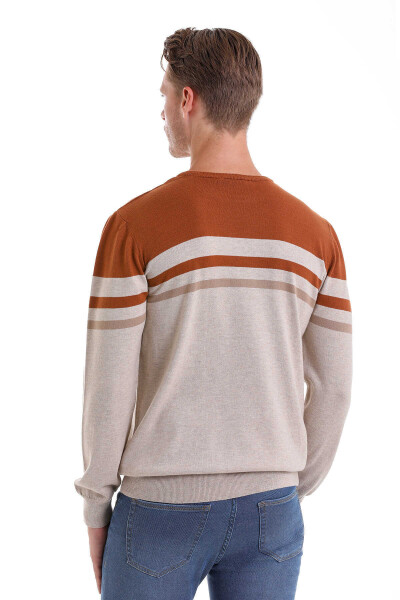 Bej Comfort Fit Desenli Pamuklu Bisiklet Yaka Casual Triko Kazak - 6