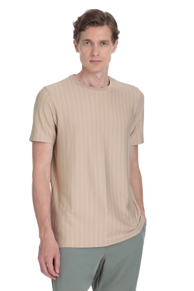 Bej Regular Fit Çizgili Bisiklet Yaka Tişört 