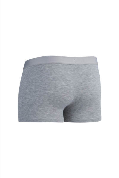 Gri Pamuklu Boxer - 2