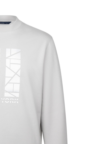 Gri Regular Fit Baskılı Pamuklu Bisiklet Yaka Sweatshirt - 3