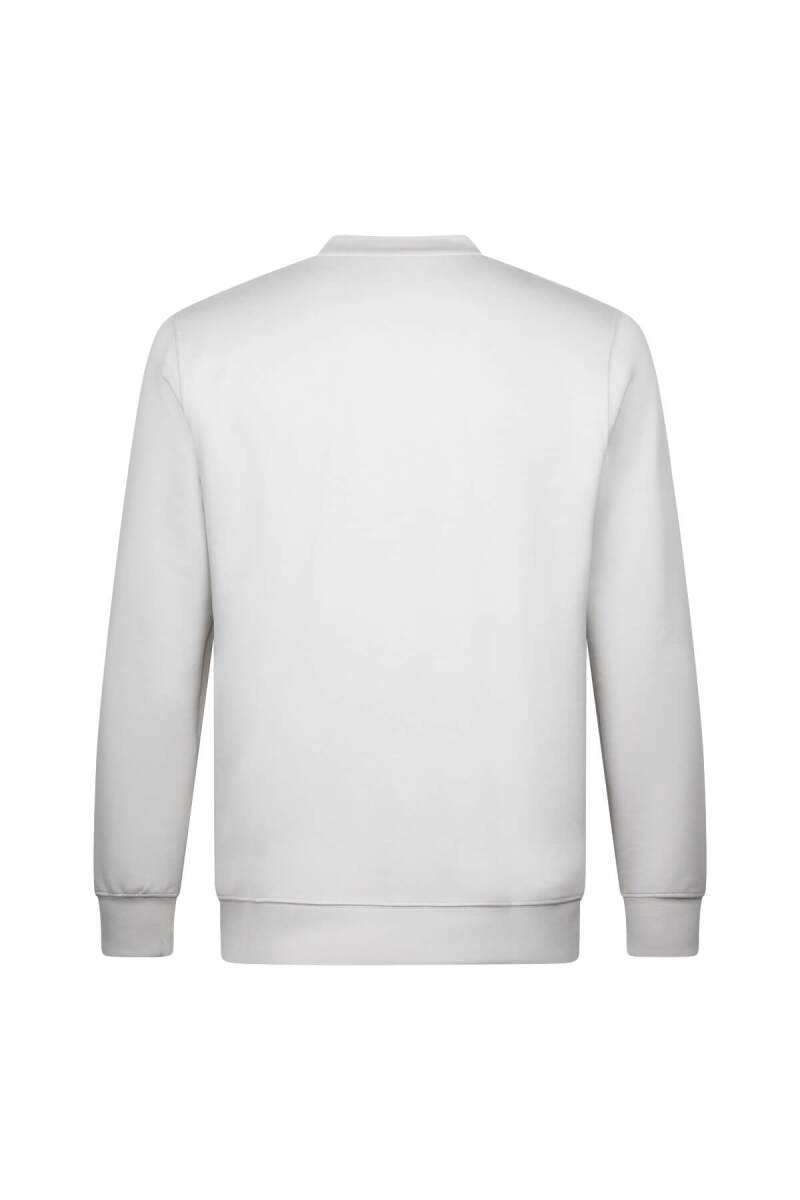 Gri Regular Fit Bisiklet Yaka Sweatshirt - HTML (1)