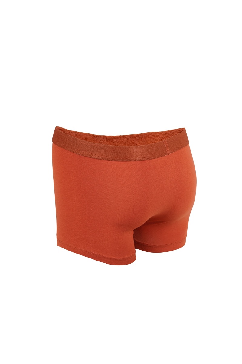 Kiremit Pamuklu Boxer - Hatem Saykı (1)