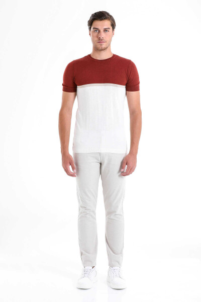 Kiremit Regular Fit Desenli Bisiklet Yaka Tişört - 2