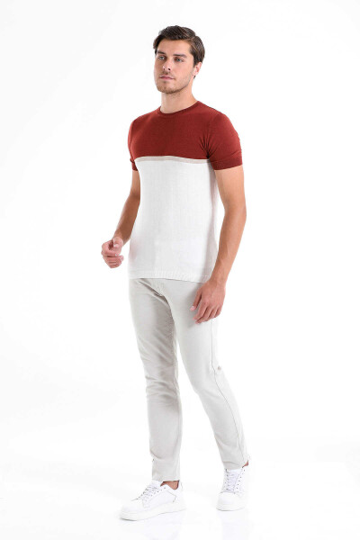 Kiremit Regular Fit Desenli Bisiklet Yaka Tişört - 3