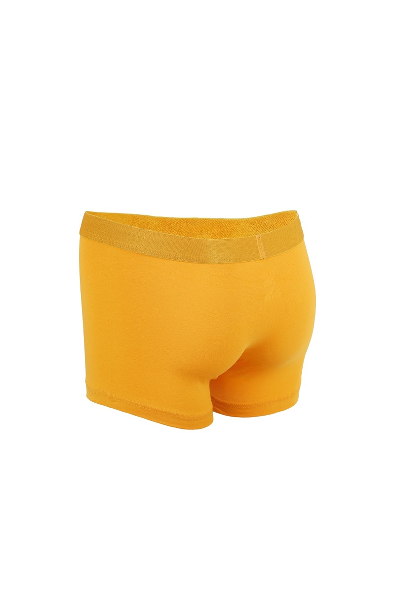 Safran Pamuklu Boxer - Hatem Saykı (1)