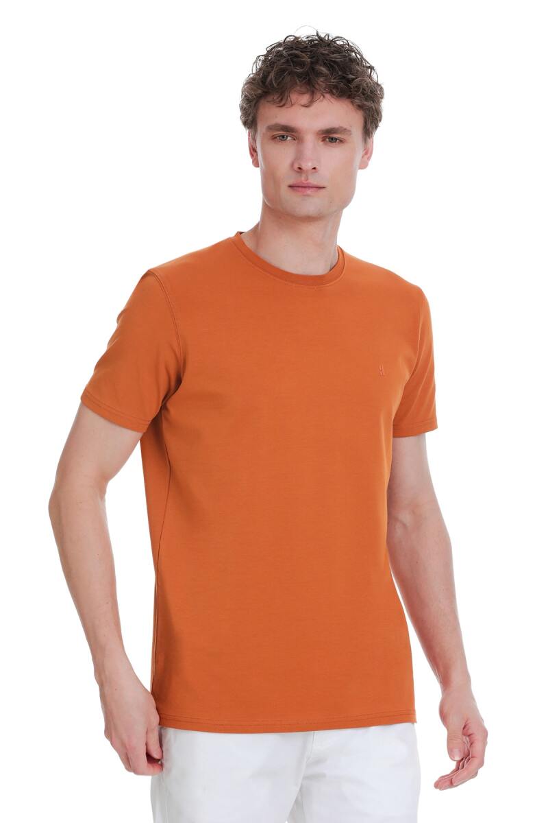 Tarçın Regular Fit Bisiklet Yaka Pamuklu Tişört - HTML