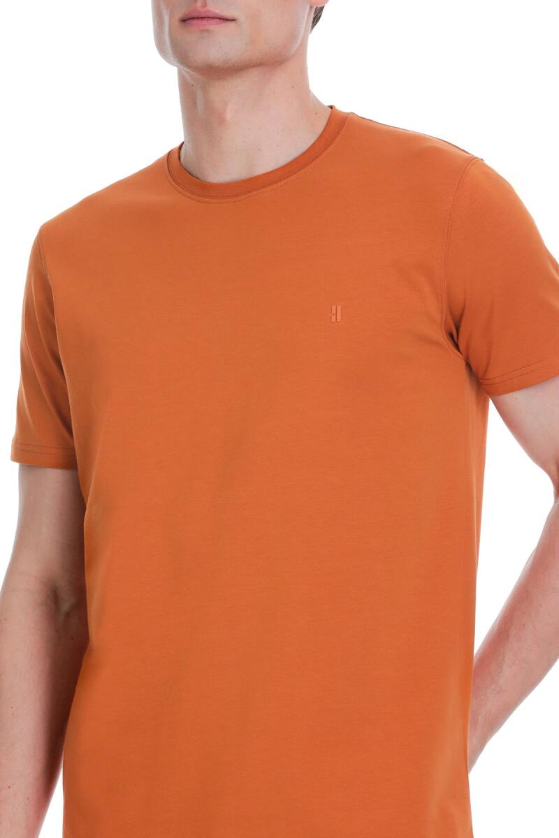 Tarçın Regular Fit Bisiklet Yaka Pamuklu Tişört - HTML (1)