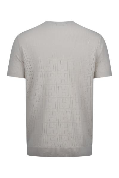 Taş Regular Fit Bisiklet Yaka Rayon Tişört - 2