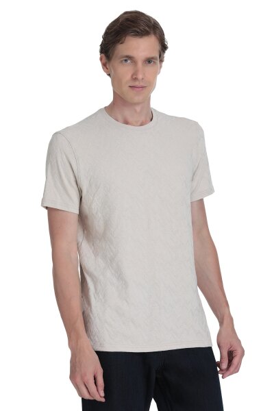 Taş Regular Fit Bisiklet Yaka Tişört 