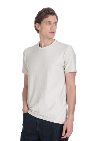 Taş Regular Fit Çizgili Bisiklet Yaka Tişört 