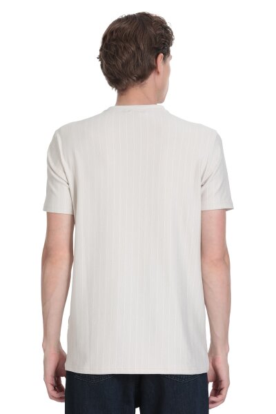 Taş Regular Fit Çizgili Bisiklet Yaka Tişört - 5