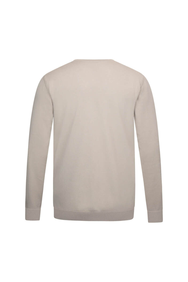 Vizon Regular Fit Bisiklet Yaka Rayon Triko Kazak - Hatem Saykı (1)